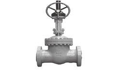 Tengs - Model DIN PN100 - Gate Valve