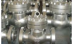 Tengs - Model H44 - Industrial Check Valve