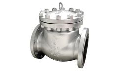 Tengs - Model H44 - Carbon Steel Swing Check Valve