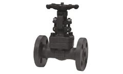Tengs - Model Z41 - Forged Steel Flanged Gate Valve