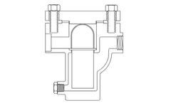 IFC - Model B300TSB2 - Threaded and Socket Weld Strainer