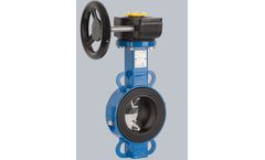 Swissfluid - Model SBE - Elastomer Seated Butterfly Valve