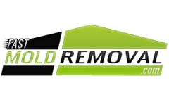 MMR - Mold Stain Remover