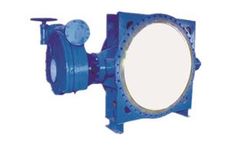 Eccentric Butterfly Valve