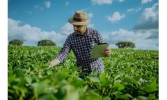 How Plant Growth is Monitored with Senix Sensors