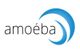 Amoeba