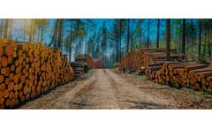 Casting solutions for forestry industry