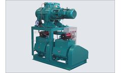 Model JZJX Series - Roots and Rotary Vane Vacuum System