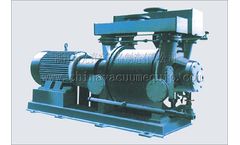 Model 2BE Series - Liquid Ring Vacuum Pump