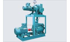 Model JZJS Series - Roots Pump and Liquid Ring Pump System