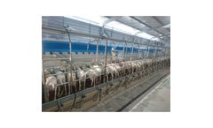 LAKTO - Ovine Quick Exit Milking System