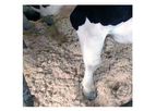American-Excelsior - Model BarnSorb - Cattle Bedding Fiber