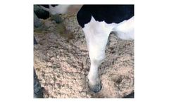 American-Excelsior - Model BarnSorb - Cattle Bedding Fiber