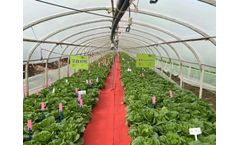 Cropack-greenhouse film