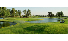 STC - Broad Spectrum Antifungal Concentrate