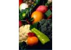 Bac-Pack - Model AG - Beneficial Rhizobacteria Seed / Root Inoculant