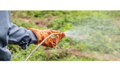 STC - Model Ablaze - Non-Selective Weed and Grass Herbicide