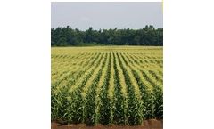 Oasys Ultra - Natural Wetting Agent and Microbial Feed