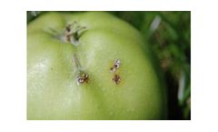 Capex - Natural Occurring Microorganisms