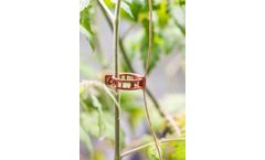 Andermatt - Fixing Clips