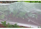 Andermatt - Crop Protection Nets