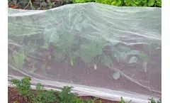 Andermatt - Crop Protection Nets