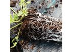 Andermatt Eco-T - Trichoderma-based Soil Inoculant