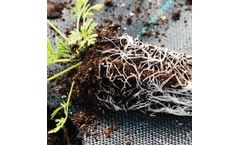 Andermatt Eco-T - Trichoderma-based Soil Inoculant