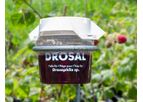 Drosal - Cup Trap System