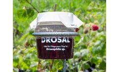 Drosal - Cup Trap System