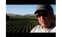 ByoSoil SaltBind Blueberries  Treatments Video