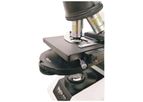 Magnus - Phase Contrast Microscopes