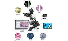 MagVision - Image Analysis Software