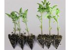 RhizoVital - Model 42 - Biostimulants