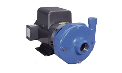 Goulds - Model 3656/3756 S - Cast Iron & Bronze Pumps