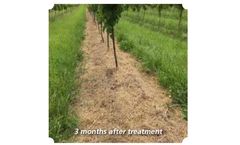 Chateau Herbicide - Residual Control of Various Grass and Broadleaved Weeds