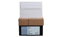 Genesis - Model A2 - Announcement Envelopes