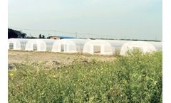 Yuwang - Crop Seedling Non-Woven