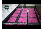 HGHY Automatic Rotary Egg Tray / Carton Machine Video