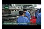 Auto / Semi Auto Industrial Packaging Machine Video