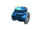 Flour - Model BS 1868 - Swing Check Valves