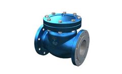 Flour - Model BS 1868 - Swing Check Valves