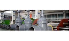 Flour - Model API 6D - Through Conduit Slab Gate Valve