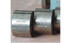 Flour - Model IQM-API 594 - Dual Plate Check Valves