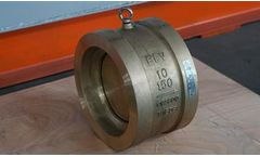 Flour - Model API 594 - Wafer Check Valves