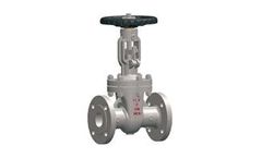 Flour - Model BB, CS - Gate Valve