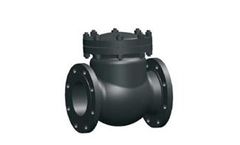 Flour - Model BB, CS - Swing Check Valve