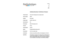  	Native - Model Type 3 Particles Wild-type - Highly Purified Human Adenovirus - Brochure