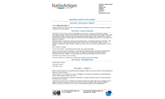 Adenovirus - Model Type 11 Particles, Wild-Type - Highly Purified Human Adenovirus Brochure