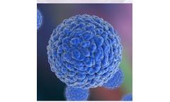 Native - Virus Receptors